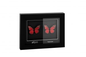 UV AR 45 JVK_8983-Artglass-kaste_72-300x200